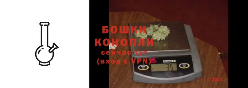 ГАЛЛЮЦИНОГЕННЫЕ ГРИБЫ Белокуриха