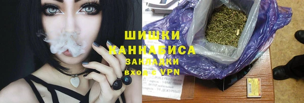 ГАЛЛЮЦИНОГЕННЫЕ ГРИБЫ Белокуриха