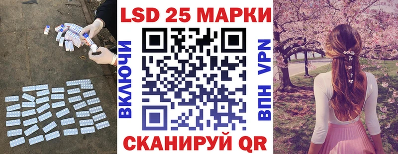 omg   цены наркотик  Кольчугино  Лсд 25 экстази кислота 