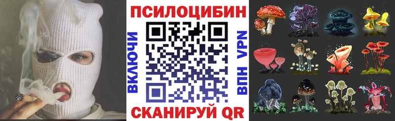 Галлюциногенные грибы мухоморы  Кольчугино 